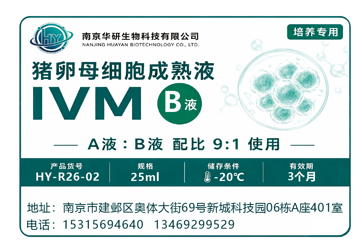 猪卵母细胞成熟液B液